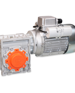 Worm gear motor 1Ph 50/60Hz 0.75kW 220-240V 47rpm